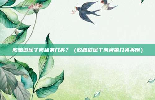 胶跑道属于商标第几类?(胶跑道属于商标第几类类别)