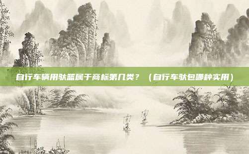 自行车辆用驮篮属于商标第几类?(自行车驮包哪种实用)