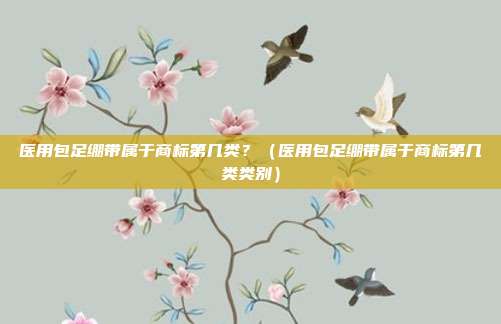 医用包足绷带属于商标第几类?(医用包足绷带属于商标第几类类别)