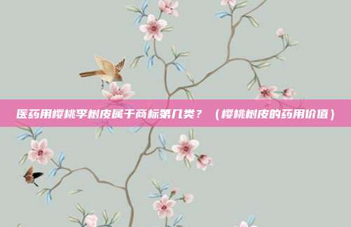 医药用樱桃李树皮属于商标第几类?(樱桃树皮的药用价值)