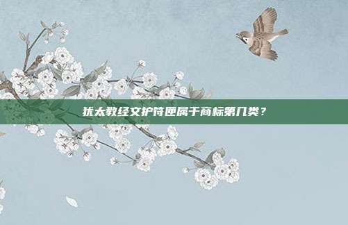 犹太教经文护符匣属于商标第几类?