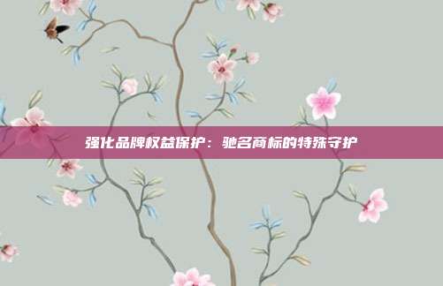 强化品牌权益保护:驰名商标的特殊守护