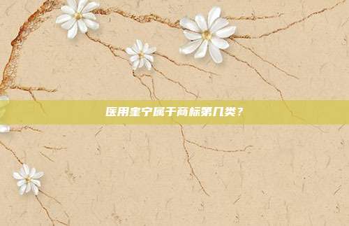 医用奎宁属于商标第几类？