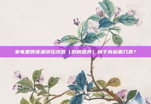 非电墨西哥薄饼压饼器(厨房器具)属于商标第几类?