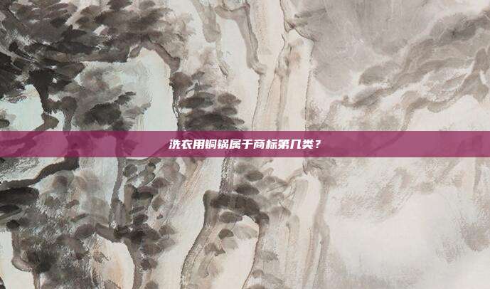 洗衣用铜锅属于商标第几类?