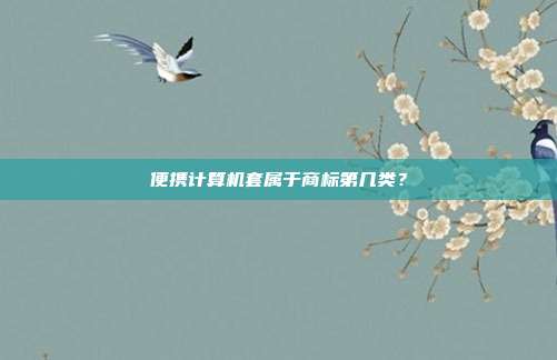 便携计算机套属于商标第几类？