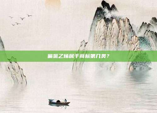 偏氯乙烯属于商标第几类?