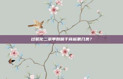 过氧化二苯甲醇属于商标第几类？