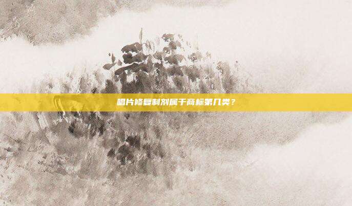 唱片修复制剂属于商标第几类?