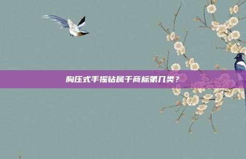 胸压式手摇钻属于商标第几类?