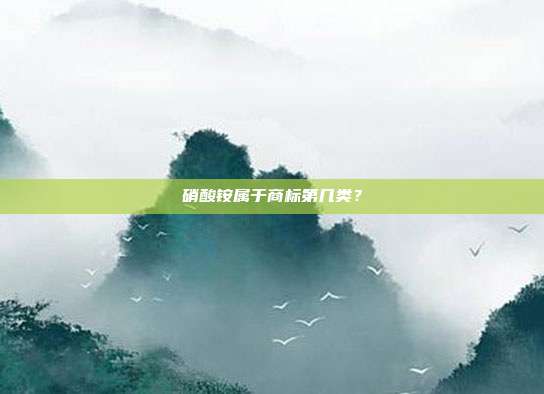 硝酸铵属于商标第几类?