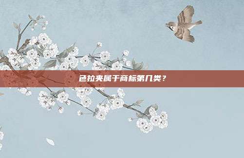 色拉夹属于商标第几类？
