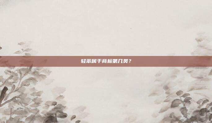 轻苯属于商标第几类?