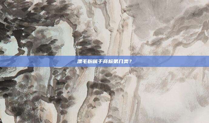 漂毛粉属于商标第几类？