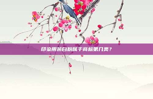 印染用吊白粉属于商标第几类?
