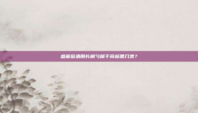 盛葡萄酒用长柄勺属于商标第几类?