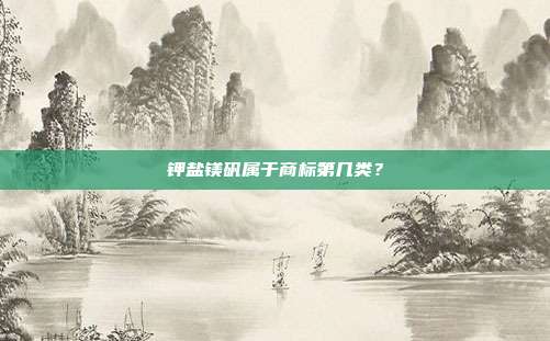 钾盐镁矾属于商标第几类?