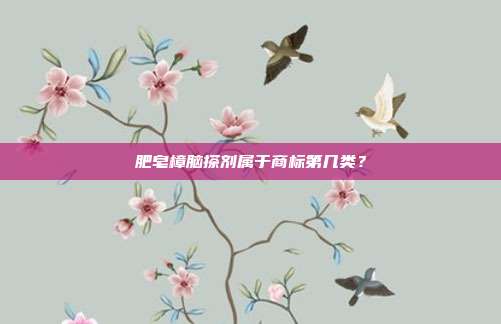 肥皂樟脑搽剂属于商标第几类?