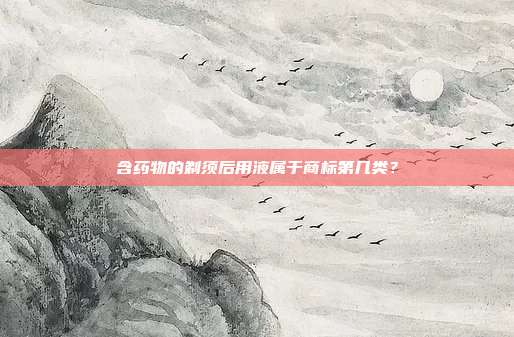 含药物的剃须后用液属于商标第几类?