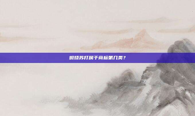 煅烧苏打属于商标第几类？