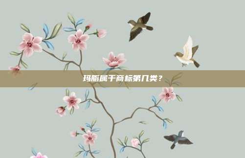 玛脂属于商标第几类？