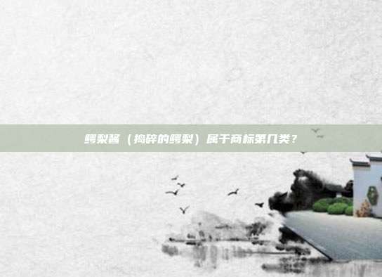 鳄梨酱(捣碎的鳄梨)属于商标第几类?