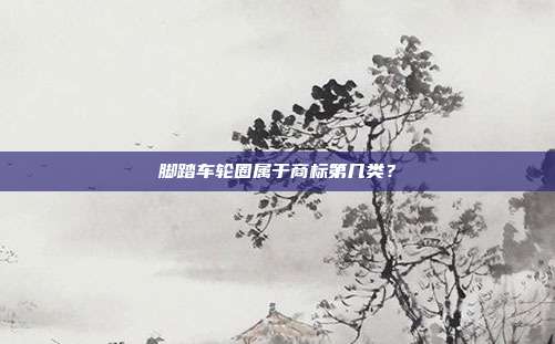 脚踏车轮圈属于商标第几类?