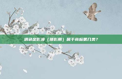 调色定影液（摄影用）属于商标第几类？