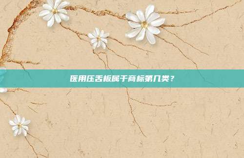 医用压舌板属于商标第几类?