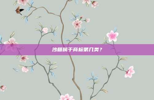 沙箱属于商标第几类?