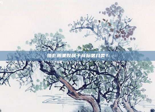 摄影用果胶属于商标第几类?
