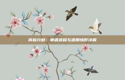 商标分割:申请流程与适用情形详解
