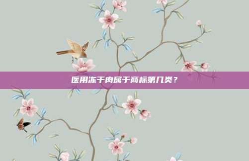 医用冻干肉属于商标第几类?