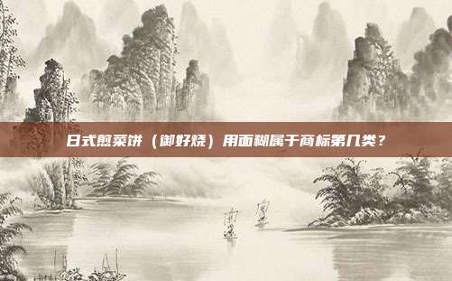 日式煎菜饼（御好烧）用面糊属于商标第几类？