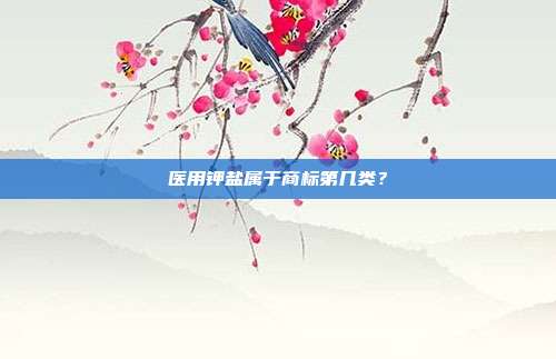 医用钾盐属于商标第几类?