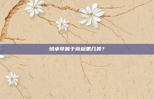 班卓琴属于商标第几类?