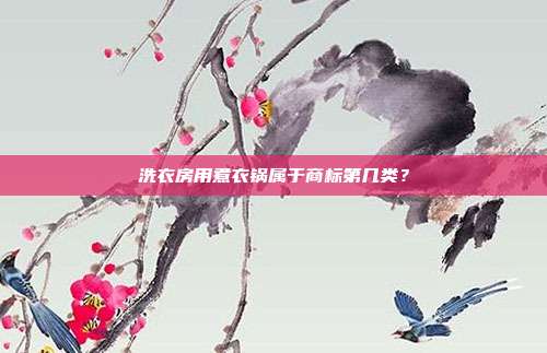 洗衣房用煮衣锅属于商标第几类?