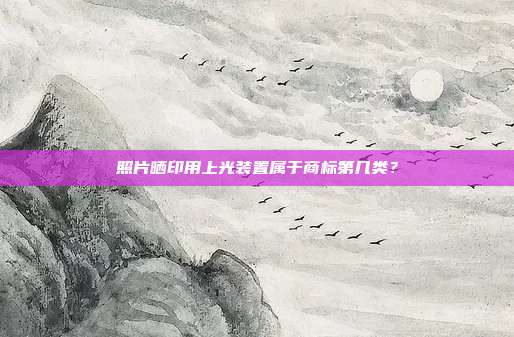 照片晒印用上光装置属于商标第几类?