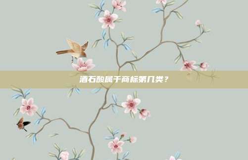 酒石酸属于商标第几类?