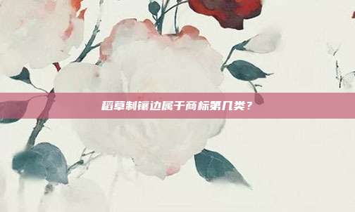 稻草制镶边属于商标第几类?