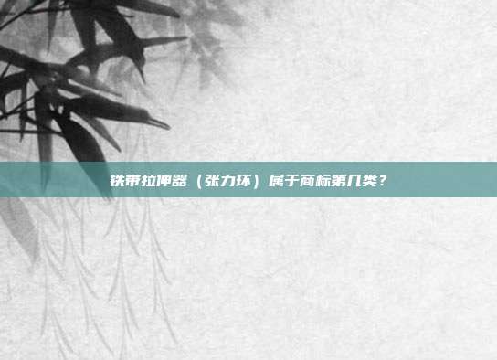 铁带拉伸器（张力环）属于商标第几类？