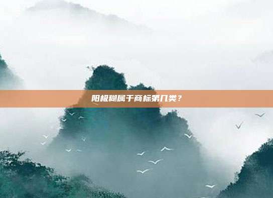 阳极糊属于商标第几类?