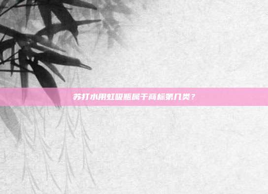 苏打水用虹吸瓶属于商标第几类？