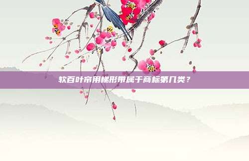 软百叶帘用梯形带属于商标第几类？