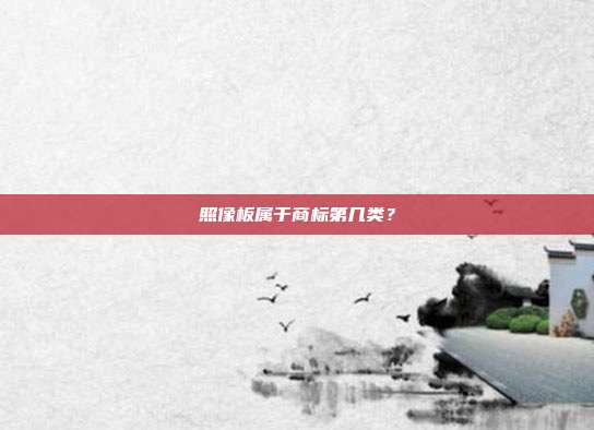 照像板属于商标第几类？