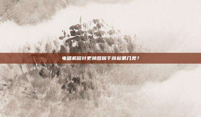电唱机磁针更换器属于商标第几类？