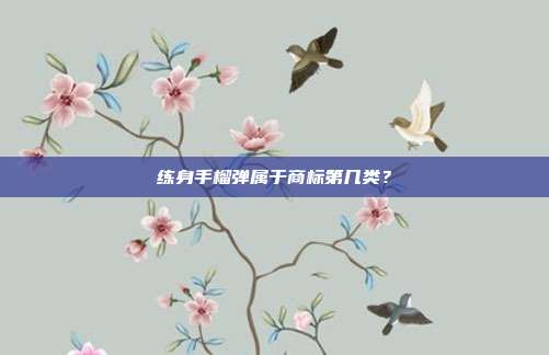 练身手榴弹属于商标第几类？