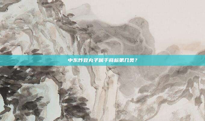 中东炸豆丸子属于商标第几类？