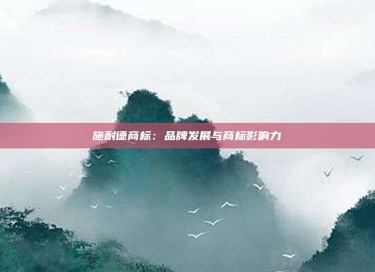 施耐德商标:品牌发展与商标影响力