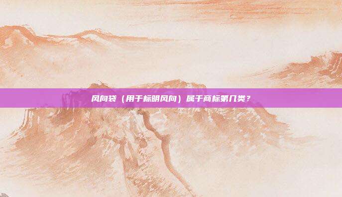 风向袋(用于标明风向)属于商标第几类?